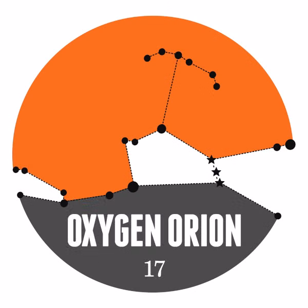 Monero 0.17.0.1 'Oxygen Orion' Minor Point Release